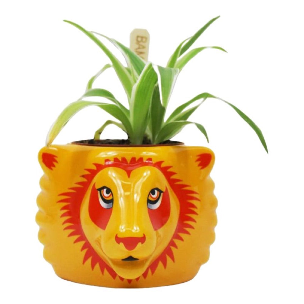Harry Potter – Gryffindor Plant Pot