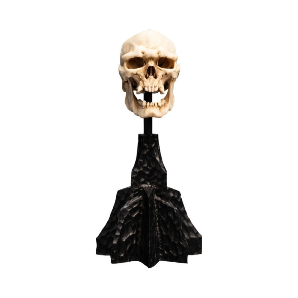 The Lord of the Rings – Skull of a Mordor Orc Miniature