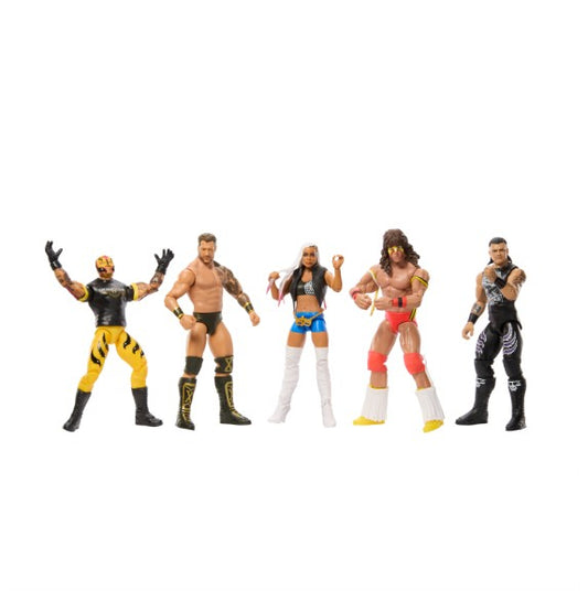 WWE Action Figure Assortment