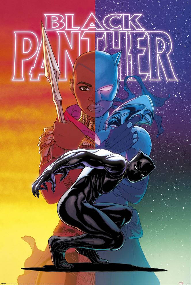 Black Panther: Wakanda Forever - Colour Split Poster (610 x 915)