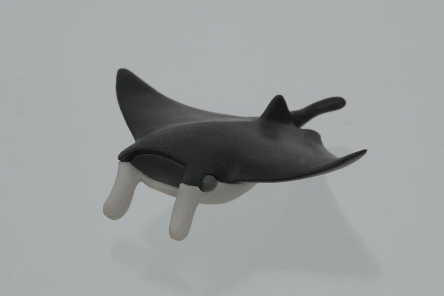 Manta Ray Erasers - Black (50 pcs/bag)
