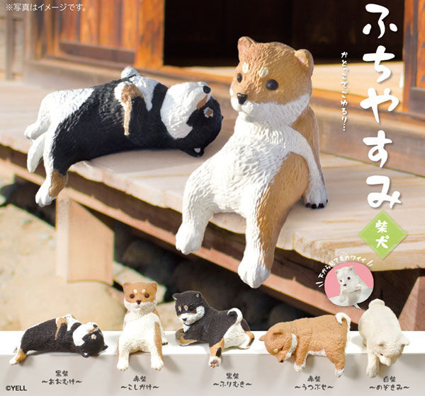 Shiba Inu (dogs) Resting On The Edge Blind Box - 10pcs
