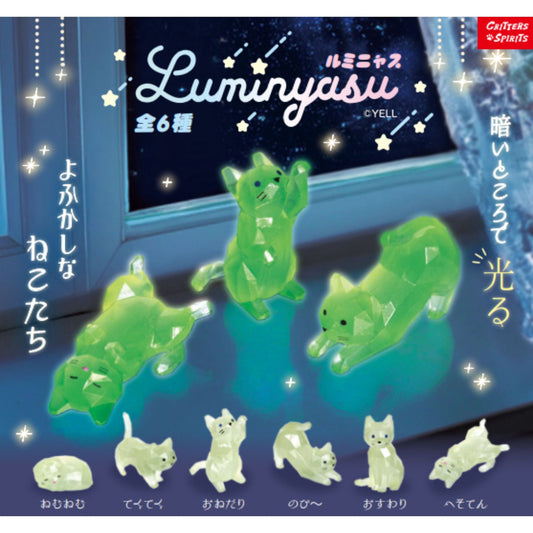 Luminyasu Glowing Cat Blind Box - 12 pcs