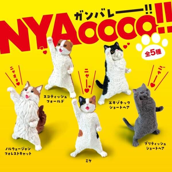 NYAoooo!! Cats Blind Box - 10pcs