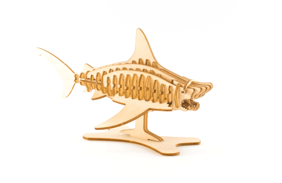 Shark Puzzle