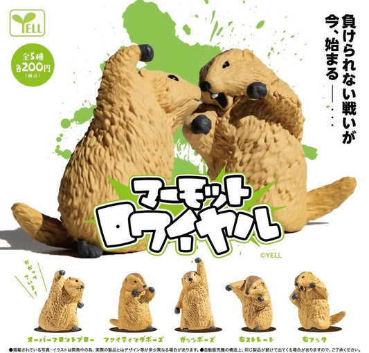 Marmot Royale Blind Box- 10 pcs