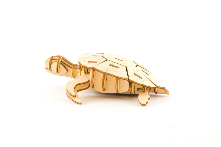 Sea Turtle Puzzle