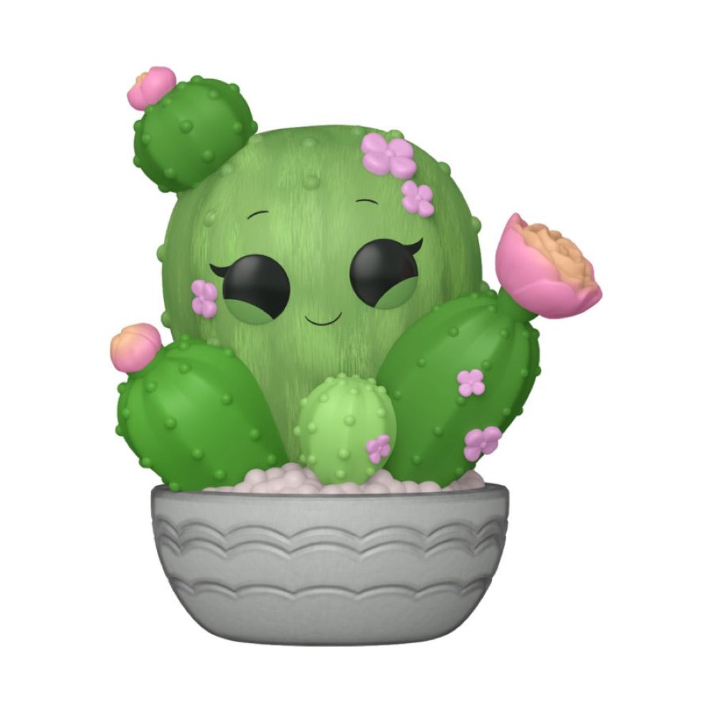 Kawaii Plants – Kawaii Cactus Pop! Vinyl