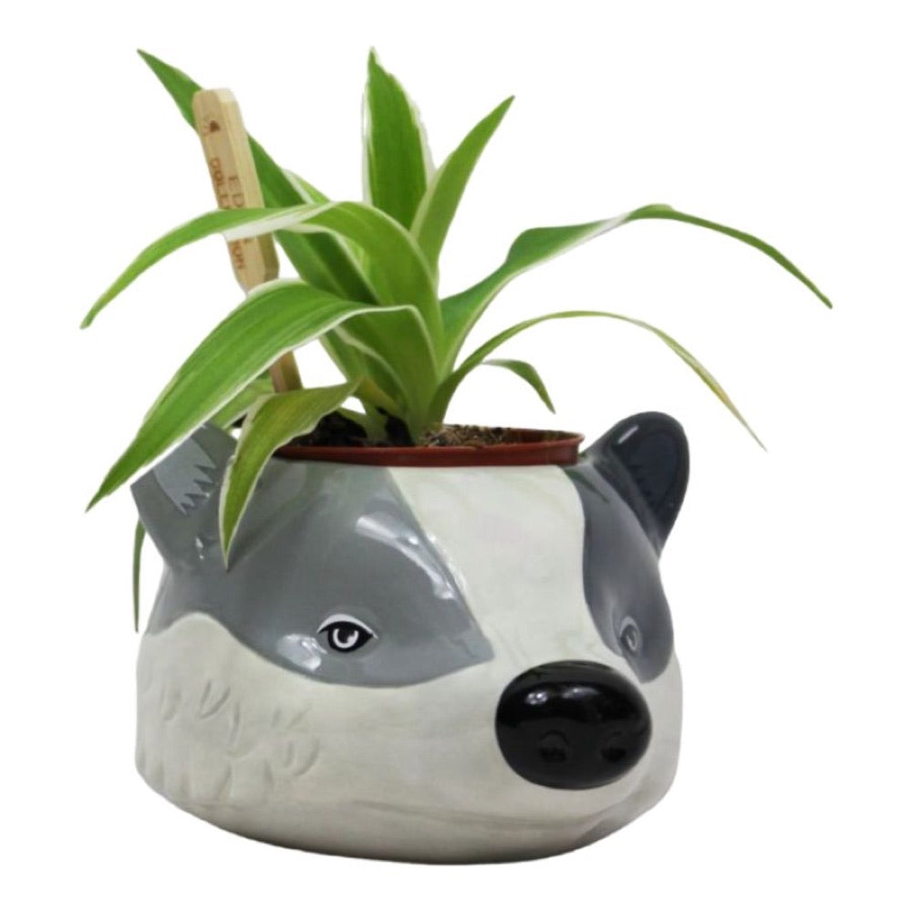 Harry Potter – Hufflepuff Plant Pot