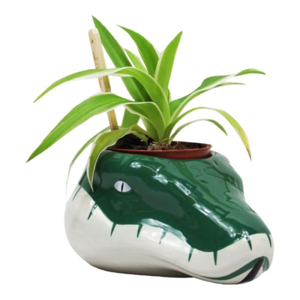 Harry Potter – Slytherin Plant Pot