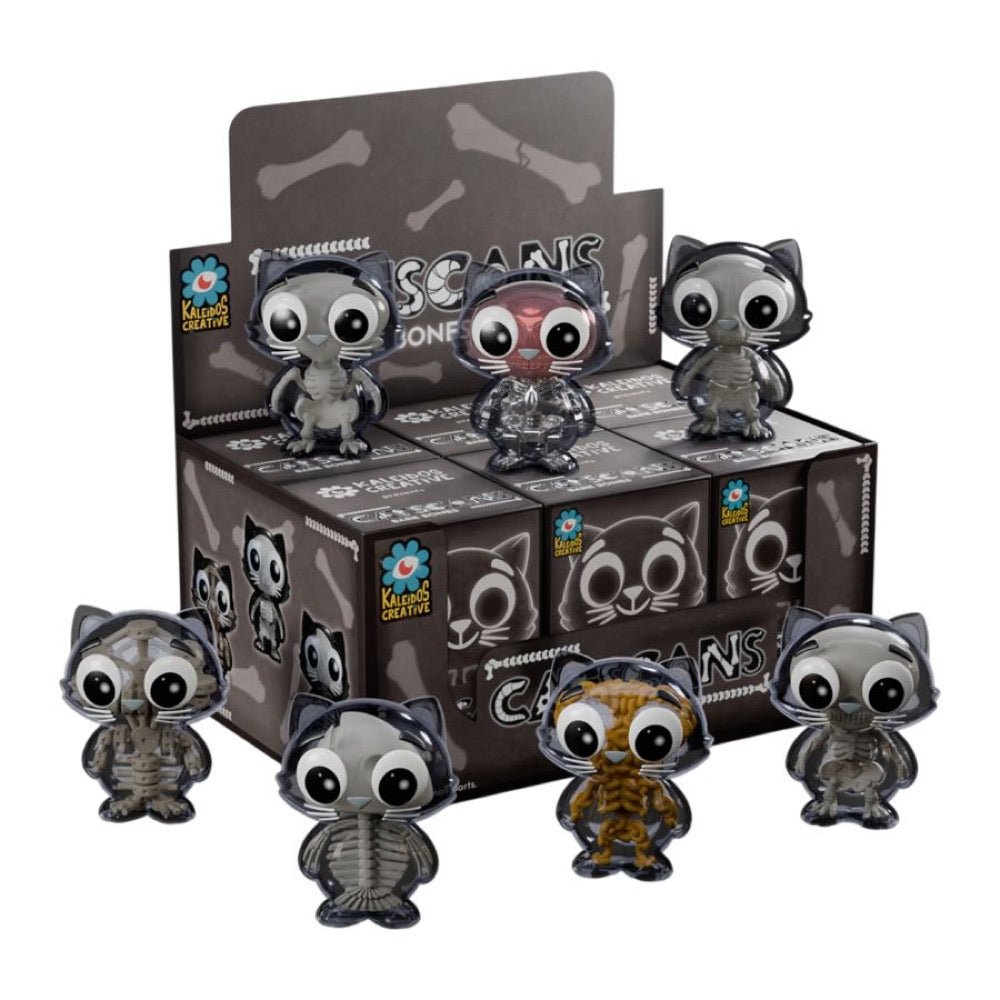 Kaleidos Creative – Catscans Bare Bones Blind Box Series 2 (Display of 6)