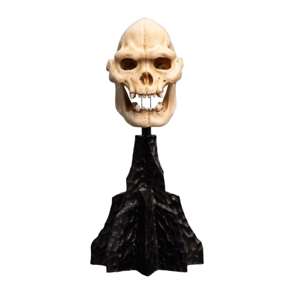 The Lord of the Rings – Skull of Lurtz Miniature Skull