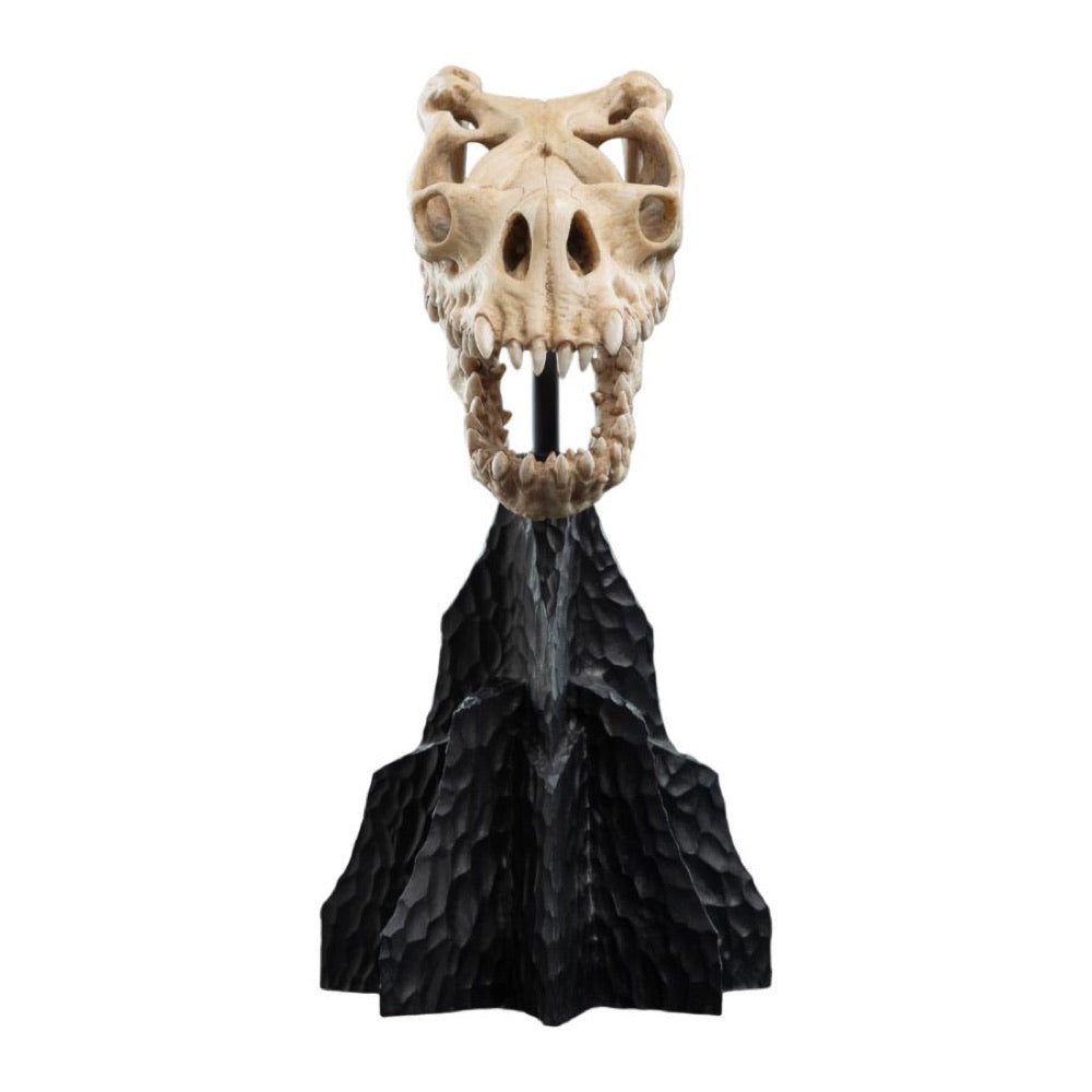 The Lord of the Rings – Skull of a Fell Beast Miniature Skull