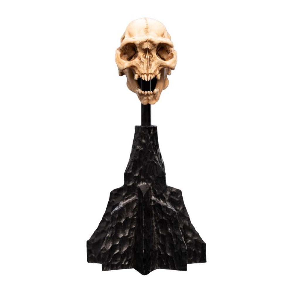The Lord of the Rings – Skull of a Moria Orc Miniature Skull