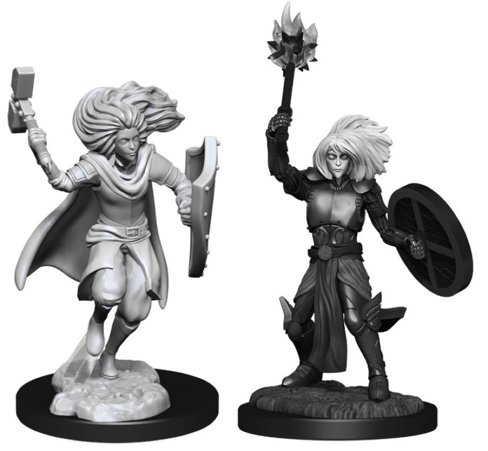 Dungeons & Dragons – Nolzur’s Marvelous Unpainted Miniatures: Changeling Cleric Male