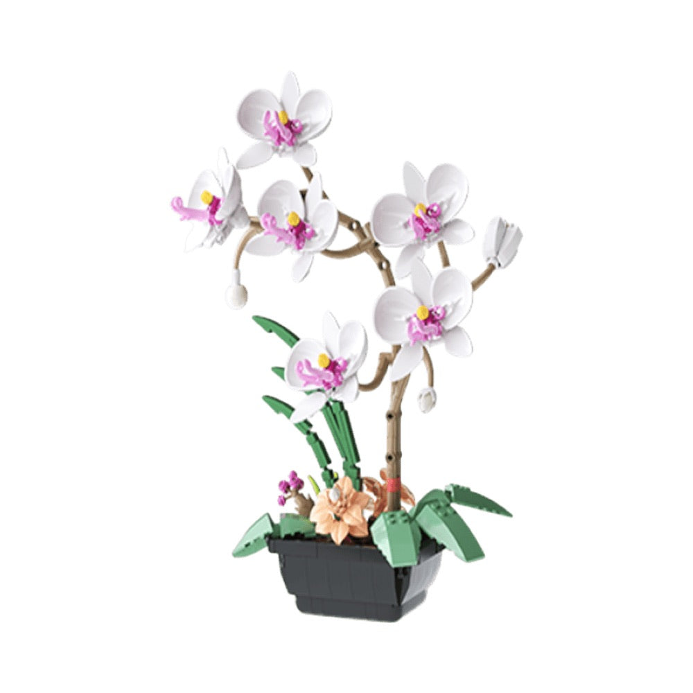 JAKI – Quiet White Moth Orchid Plastic Brick Model Kit (589 Piece Set)
