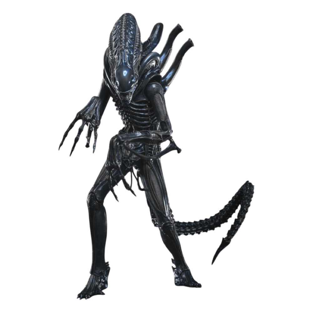 Aliens – Alien Warrior 1:6 Scale Collectable Action Figure